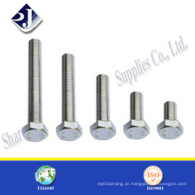 Aço inoxidável de qualidade 304 ou parafuso hexagonal 316